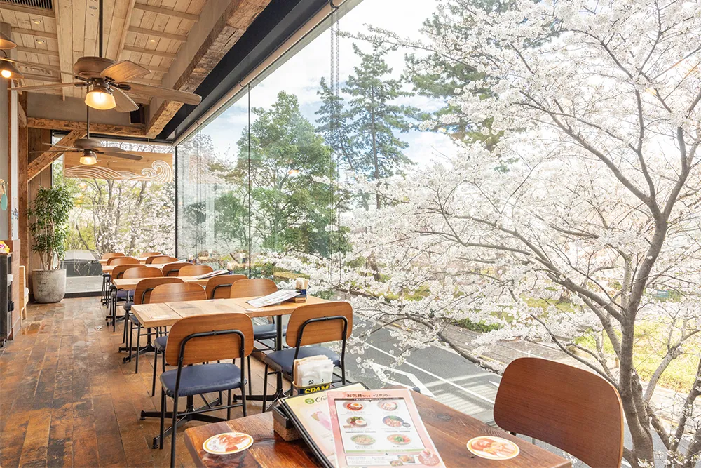 お花見プラン受付開始のお知らせ